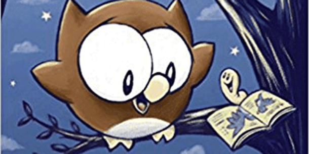 owly flying lessons